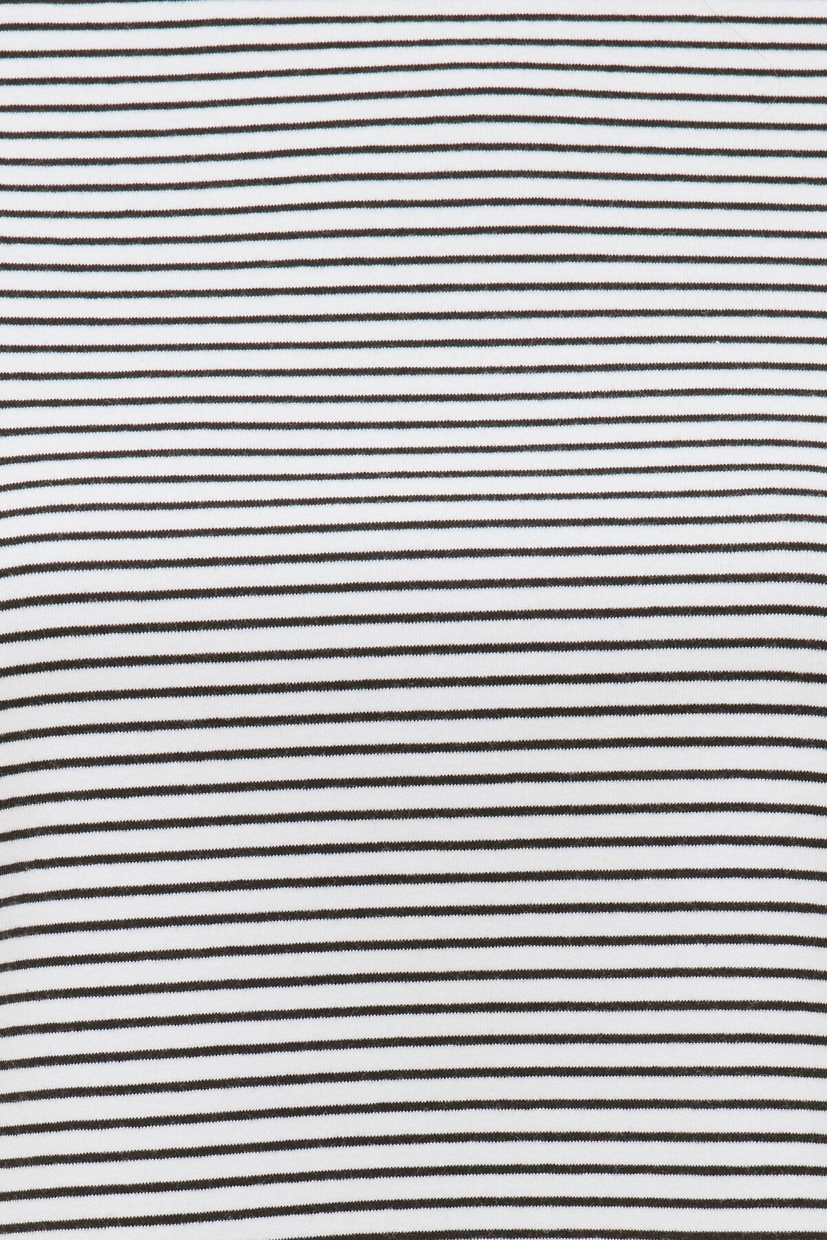 Everyday Striped Heavy Cotton T Shirt White - Dynamite