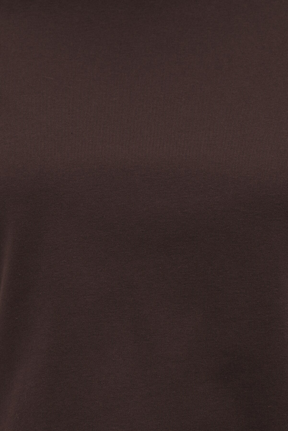 Everyday Cotton T Shirt Brown - Dynamite