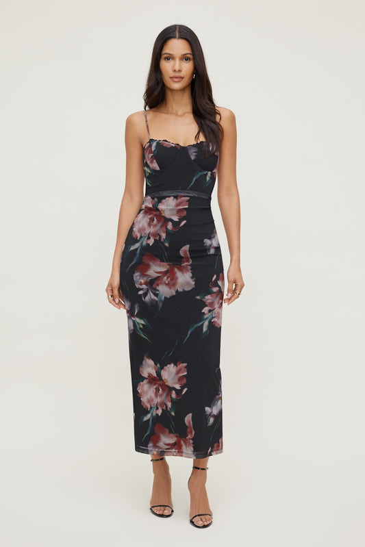 Floral Mesh Maxi Dress Black - Dynamite
