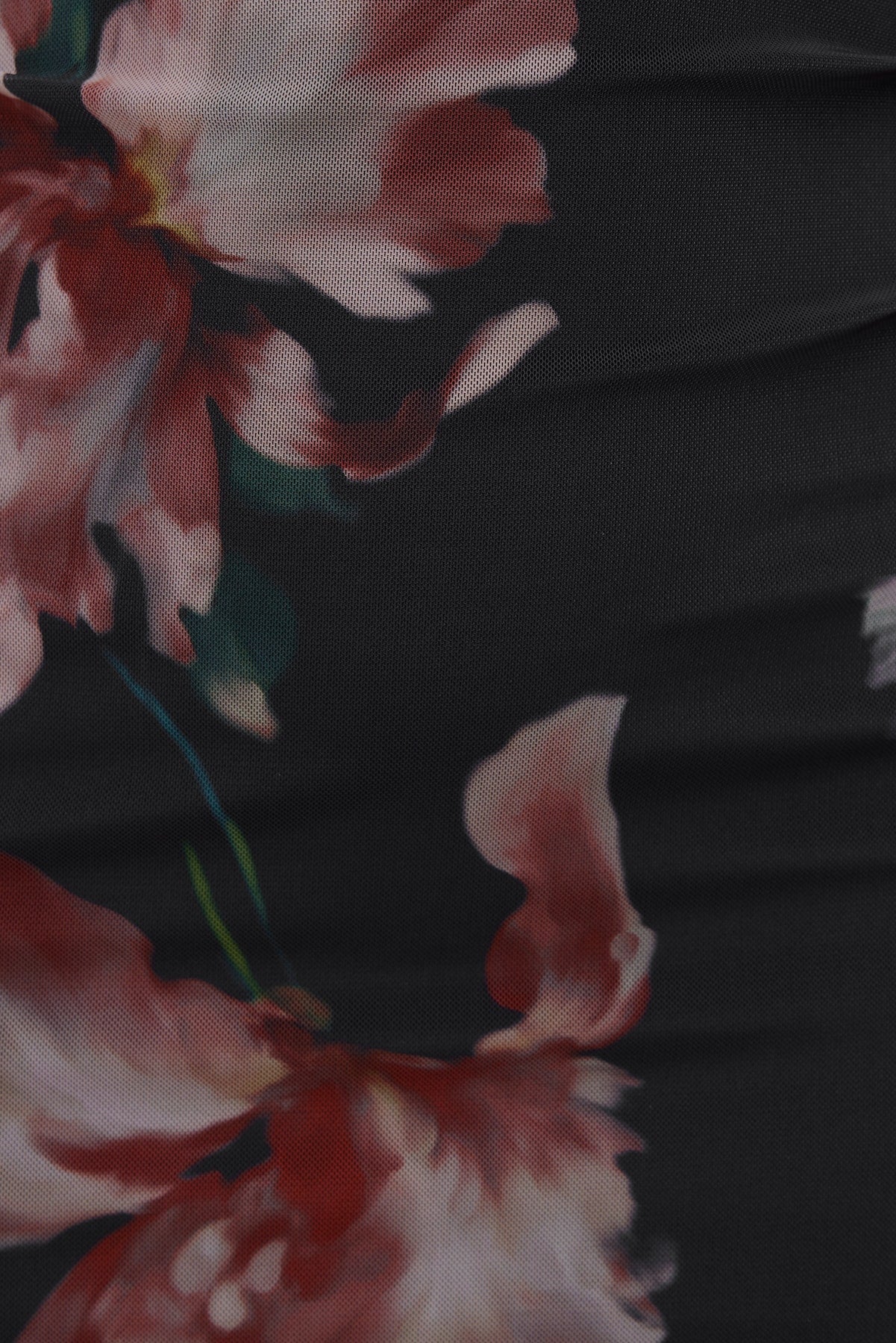 Floral Mesh Maxi Dress Black - Dynamite