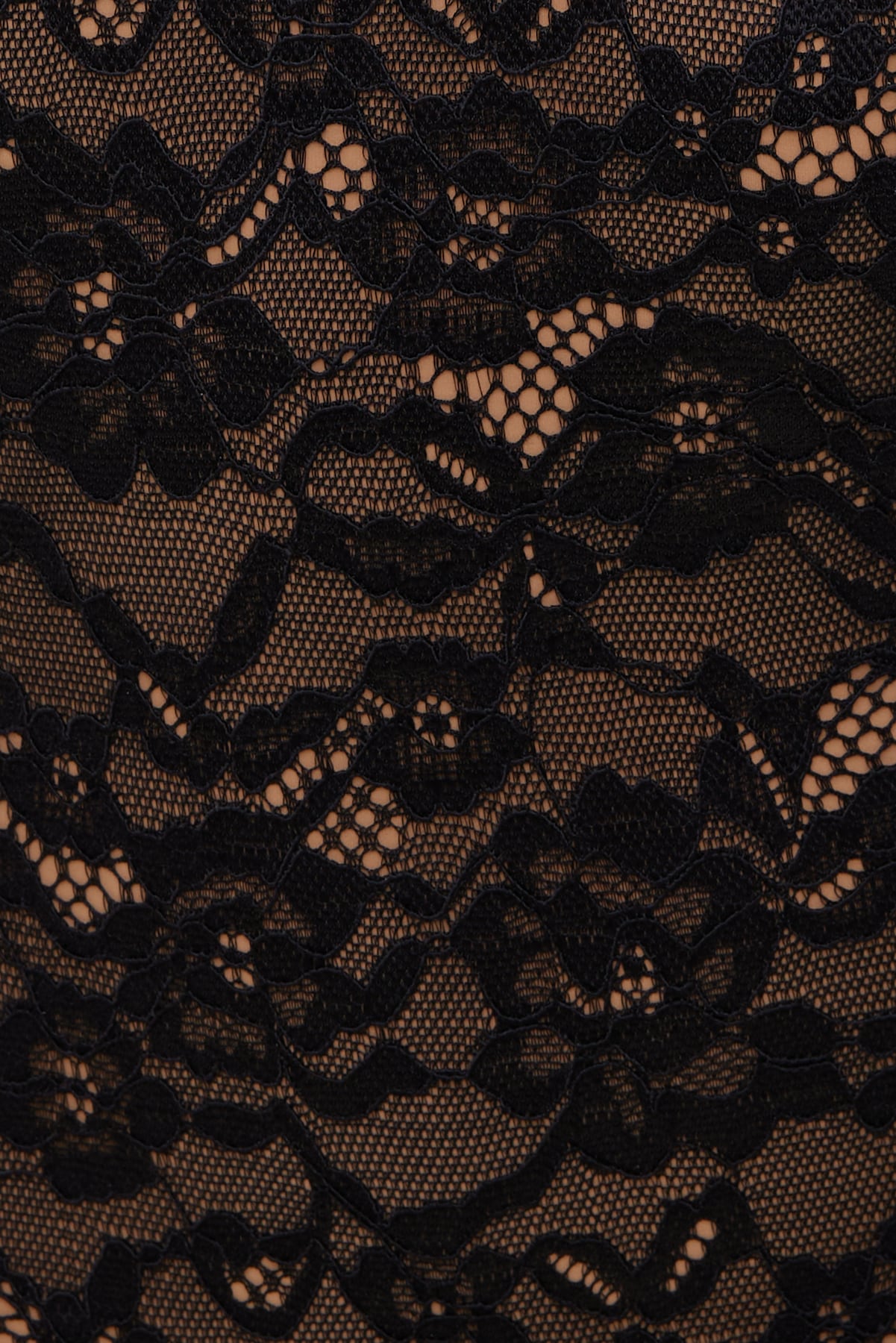 Lace Plunge Bodysuit Black - Dynamite