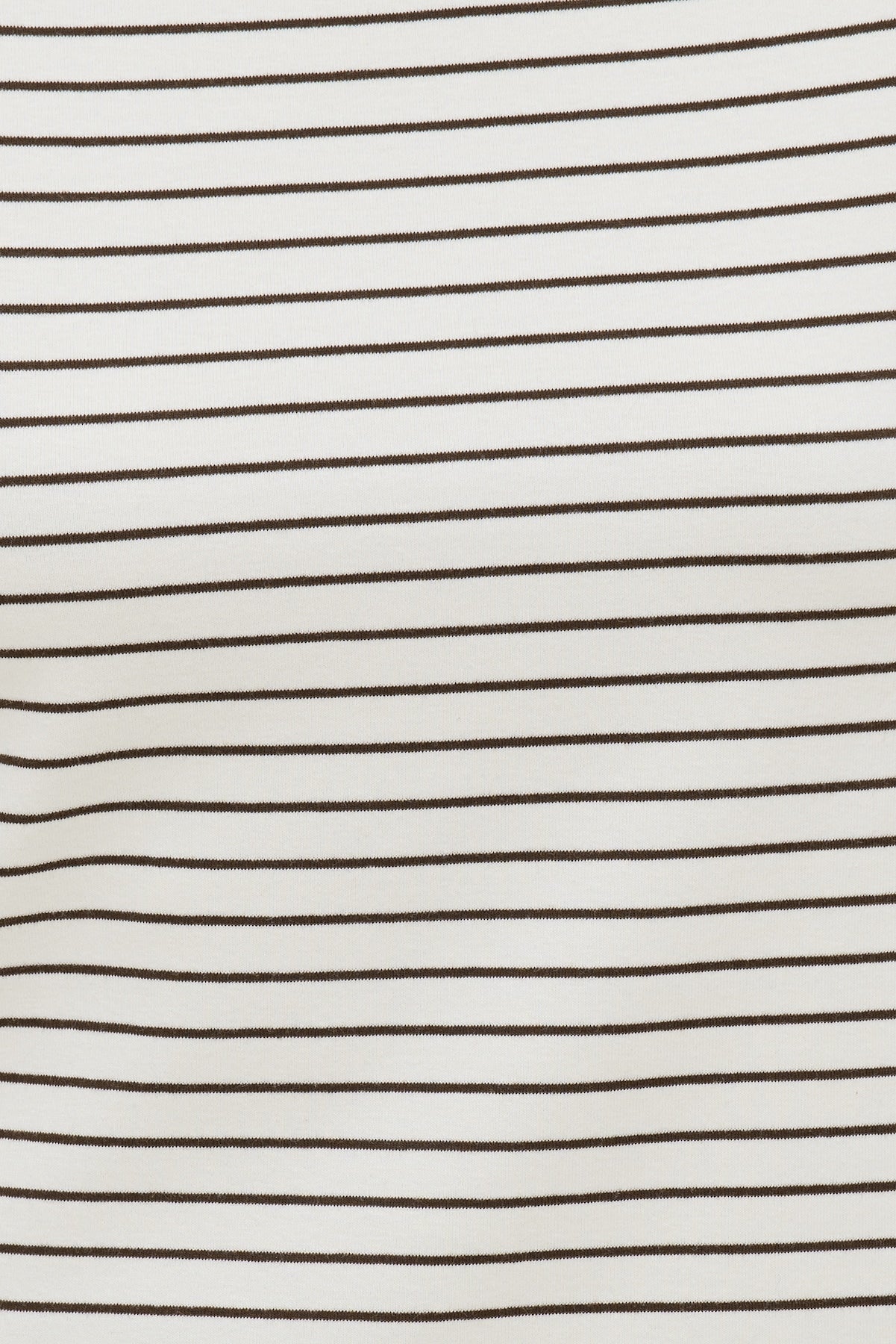 Everyday Striped Heavy Cotton T Shirt Brown - Dynamite