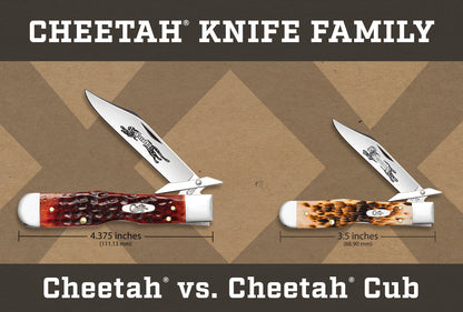 Case Knives Peach Seed Jigged Dark Red Bone CS Cheetah® Cub