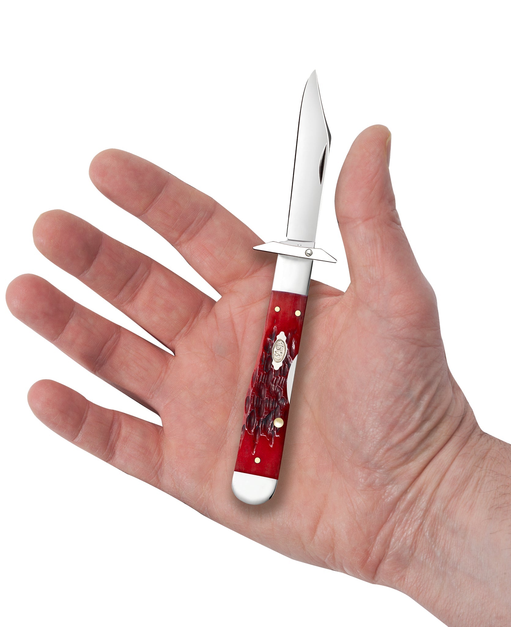 Case Knives Peach Seed Jigged Dark Red Bone CS Cheetah® Cub
