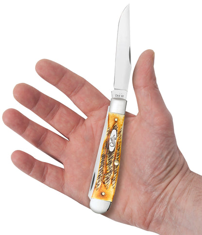 Case Knives Case 6.5 BoneStag® Trapper with Pocket Clip