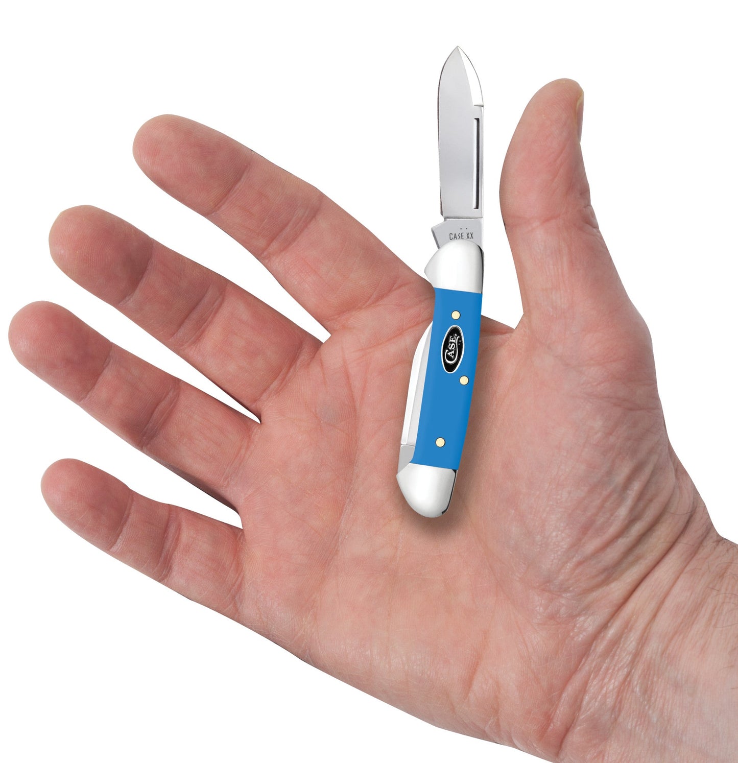 Case Knives Smooth Light Blue Synthetic Baby Butterbean